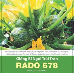 Hạt giống Bí ngòi trái tròn 1gr