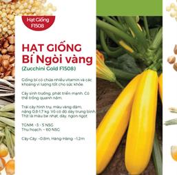 Hạt giống Bí ngòi vàng 1gr