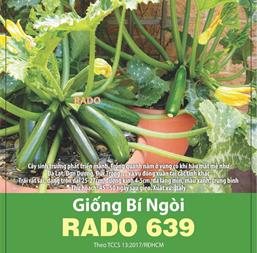 Hạt giống Bí Ngòi Xanh - Gói 10gr