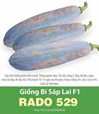 Hạt giống Bí sáp lai F1 - Gói 10gr