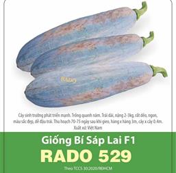 Hạt giống Bí sáp lai F1 - Gói 10gr