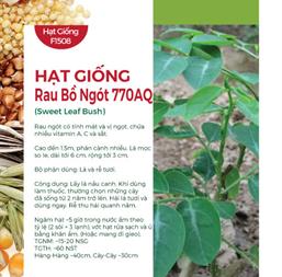 Hạt giống Bồ ngót, rau ngót 1gr