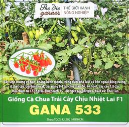 Hạt giống Cà chua trái cây chịu nhiệt lai f1 Gana 533