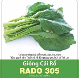 Hạt giống Cải rổ - Cải làn - Gói 1Kg