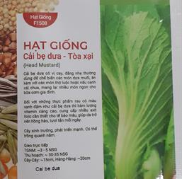 Hạt giống Cải bẹ dưa 20gr