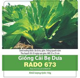 Hạt giống Cải bẹ dưa - Gói 100gr