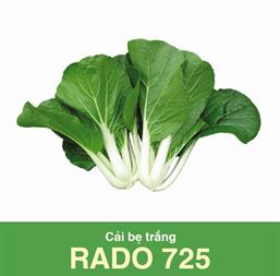 Hạt giống Cải bẹ trắng - Gói 100gr