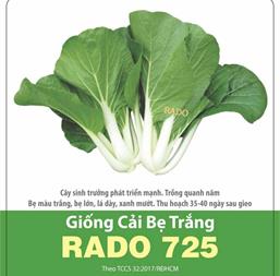 Hạt giống Cải bẹ trắng - Gói 1Kg