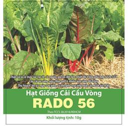 Hạt giống Cải cầu vồng - Gói 500gr