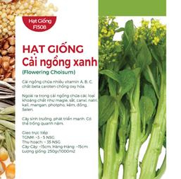 Hạt giống Cải ngọt bông - Cải ngồng xanh - 20gr