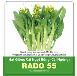 Hạt giống Cải ngồng xanh - Cải ngọt ăn bông - Gói 1Kg
