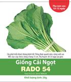 Hạt giống Cải ngọt Rado 54 - Gói 1Kg