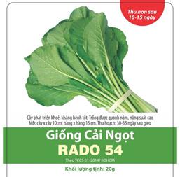 Hạt giống Cải ngọt Rado 54 - 50gr