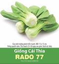 Hạt giống Cải thìa Rado 77 - Gói 1Kg