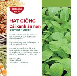 Hạt giống Cải Xanh Ăn Non 50gr