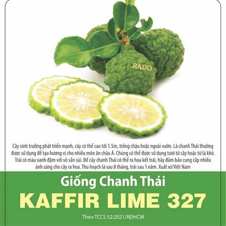 Hạt giống Chanh Thái KAFFIR LIME 10 hạt