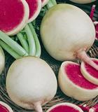 Hạt giống Củ cải ruột hồng 1gr