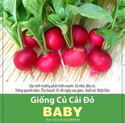 Hạt giống Củ cải tròn đỏ baby - Gói 50gr
