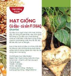 Hạt giống Củ đậu - Củ sắn 5gr