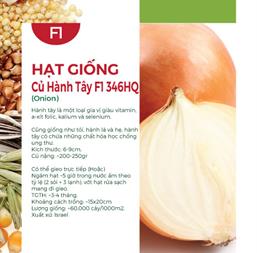 Hạt giống Củ Hành tây đỏ Salad Red 2gr