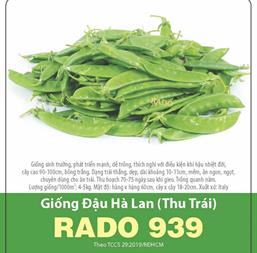 Hạt giống Đậu Hà Lan lấy trái 10gr