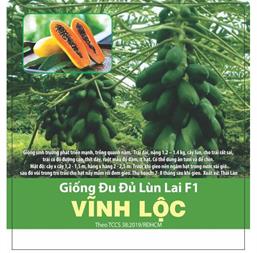 Hạt giống Đu đủ lùn lai F1 Vĩnh Lộc - Gói 100 hạt