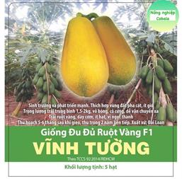 Hạt giống Đu đủ ruột vàng Vĩnh Tường 10 hạt