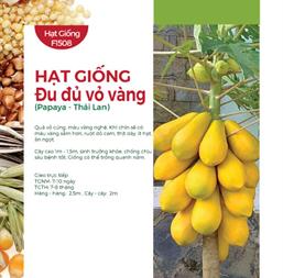 Hạt giống Đu đủ vỏ vàng Vĩnh Thành - 5 hạt