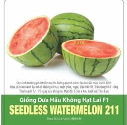 Hạt giống Dưa hấu không hạt F1