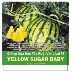 Hạt giống Dưa hấu táo ruột vàng baby 5 hạt