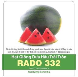 Hạt giống Dưa hấu trái tròn 10 hạt