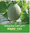 Hạt giống Dưa lưới F1 Rado 153 - Gói 10 hạt