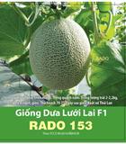Hạt giống Dưa lưới F1 Rado 153 - Gói 10 hạt