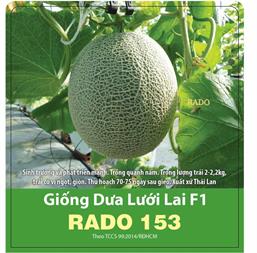Hạt giống Dưa lưới F1 Rado 153 - Gói 10 hạt