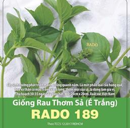 Hạt giống Rau É trắng - Rau thơm sả - Gói 100Gr
