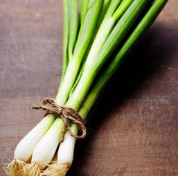 Hạt giống Hành lá Rado 25 gốc trắng 2.5gr