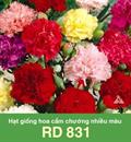 Hạt giống Hoa Cẩm chướng nhiều màu RD 831 - Gói 0.1gr