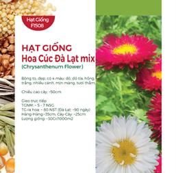 Hạt giống Hoa cúc Đà Lạt mix - Gói 5Gr