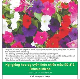 Hạt giống Hoa Dạ uyên thảo nhiều màu - Gói 0.03Gr