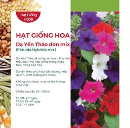 Hạt giống Hoa Dạ uyên thảo nhiều màu - Gói 0.1Gr