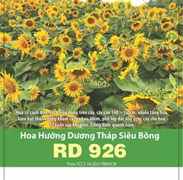 Hạt giống hoa Hướng dương tháp siêu bông 926 - 2gr