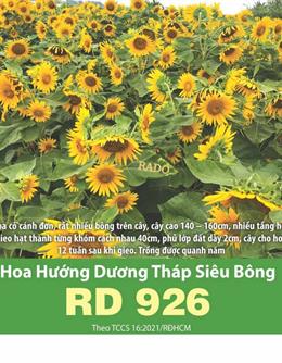 Hạt giống hoa Hướng dương tháp siêu bông 926 - 2gr
