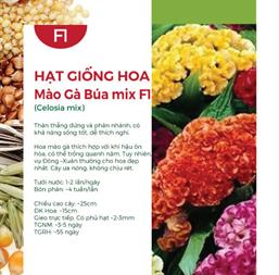 Hạt giống hoa Mào gà búa đỏ nhung 0.5gr