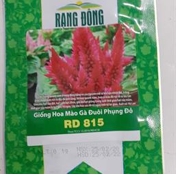 Hạt giống Hoa mào gà đuôi phụng lửa đỏ