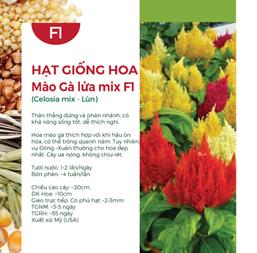 Hạt giống hoa Mào gà đuôi phụng nhiều màu 0.1gr