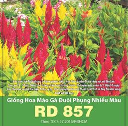 Hạt giống hoa Mào gà đuôi phụng nhiều màu 0.5gr