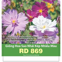 Hạt giống Hoa Sao nhái kép nhiều màu Rd 869 - 0.1gr