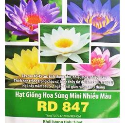 Hạt giống Hoa Súng mini mix