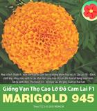 Hạt giống Hoa Vạn Thọ lỡ Đỏ Cam lai F1 MARIGOLD 945 - Gói 10 hạt