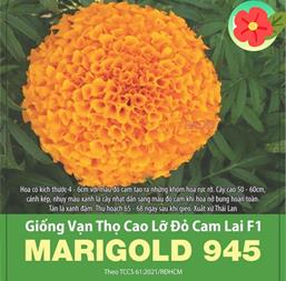 Hạt giống Hoa Vạn Thọ lỡ Đỏ Cam lai F1 MARIGOLD 945 - Gói 10 hạt
